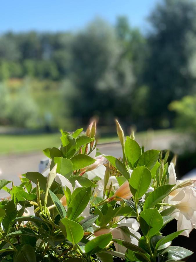 Cameracaffe Sul Lago Arezzo Exteriér fotografie